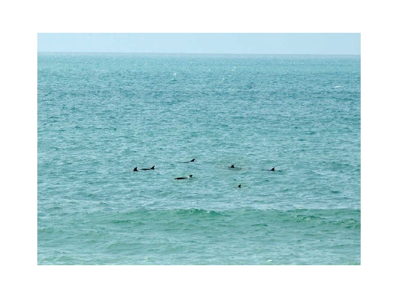 Unit 1/4/38 Lewis Street, Old Bar NSW 2430