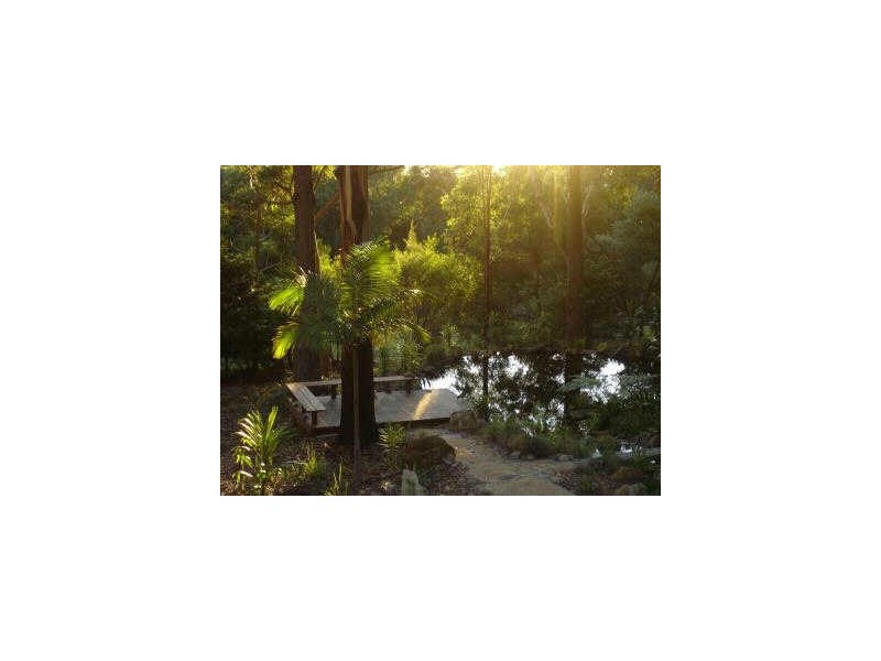 14 Bombi Road, Macmasters Beach NSW 2251