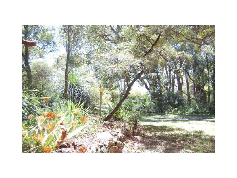21 Ocean Drive, Macmasters Beach NSW 2251