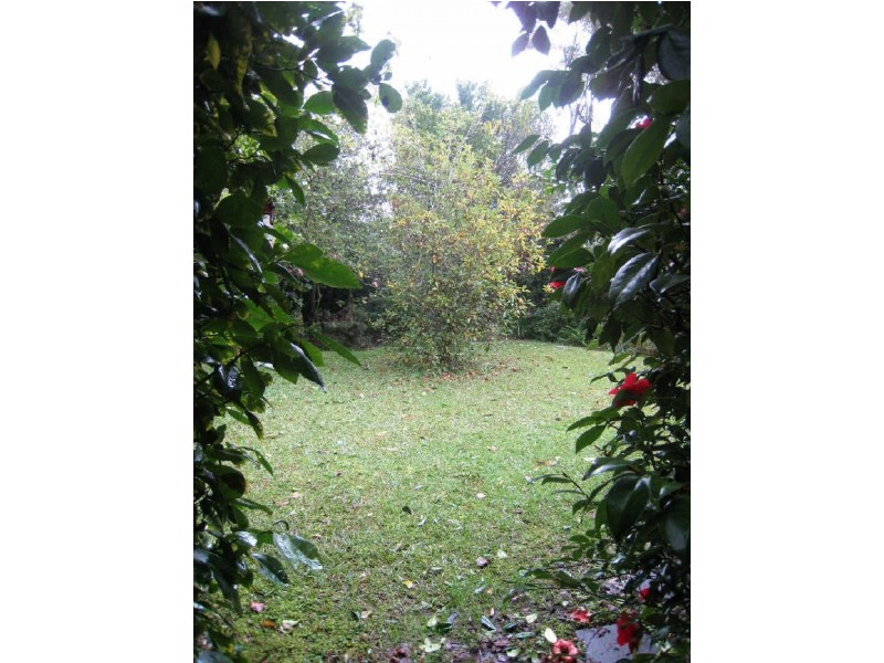 114 Avoca Drive, Kincumber NSW 2251