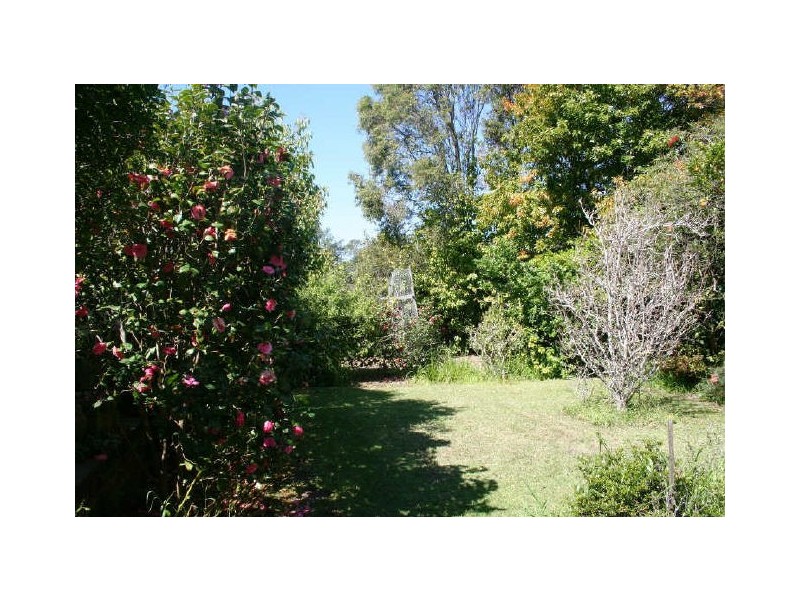 114 Avoca Drive, Kincumber NSW 2251