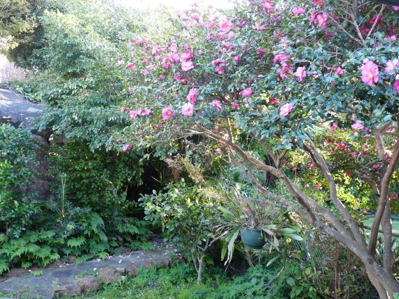 37 Matson Crescent, Miranda NSW 2228