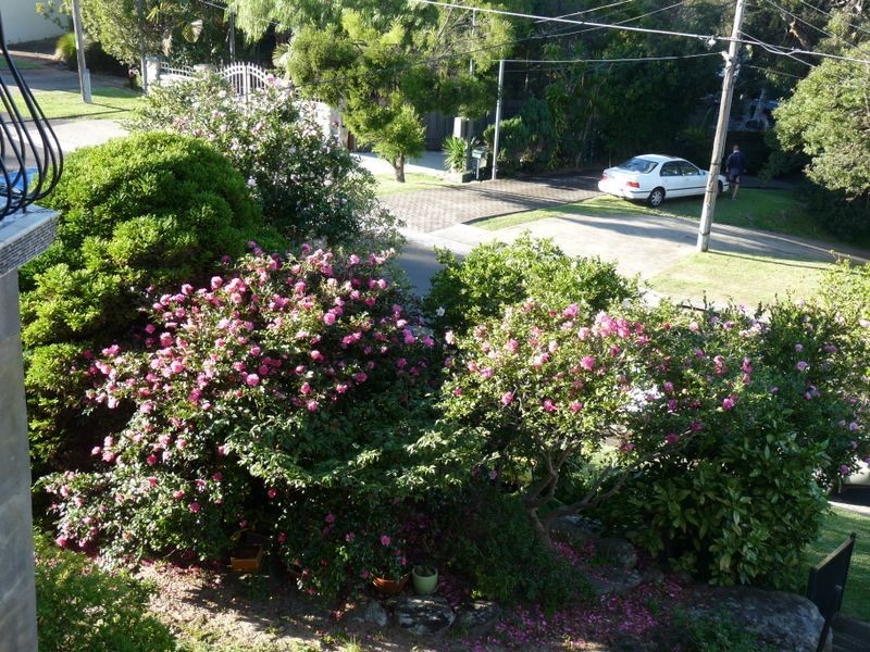 37 Matson Crescent, Miranda NSW 2228