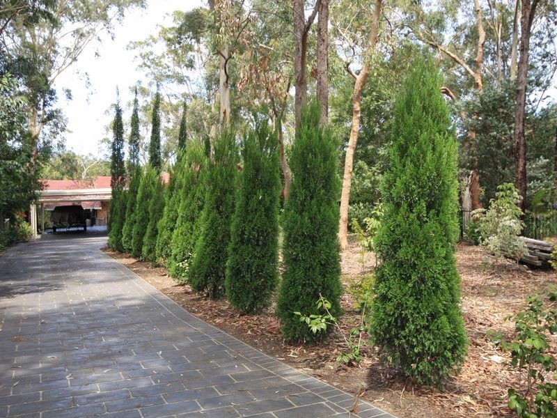 148 St George Cres, Sandy Point NSW 2172