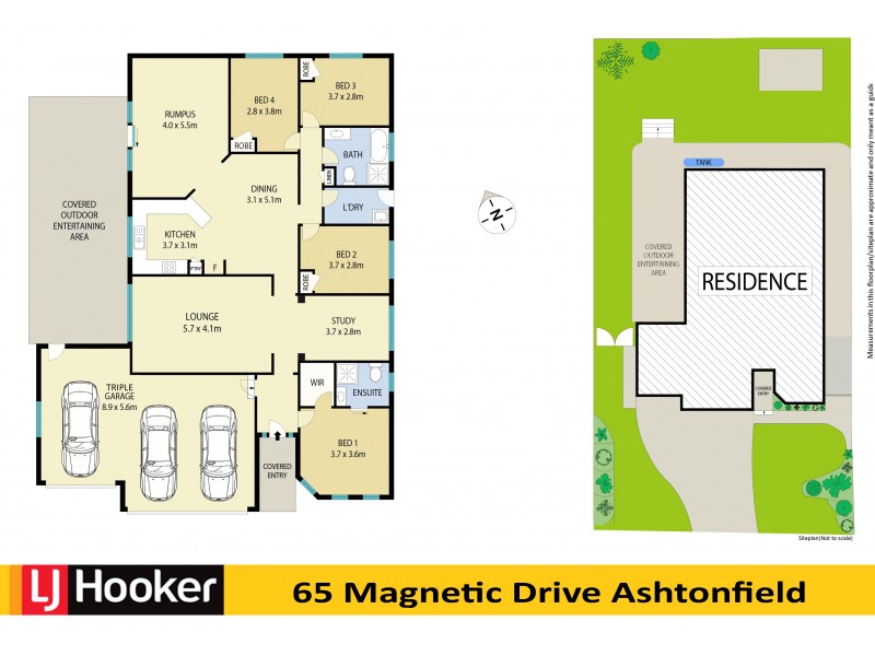 65 Magnetic Drive, Ashtonfield NSW 2323 Floorplan