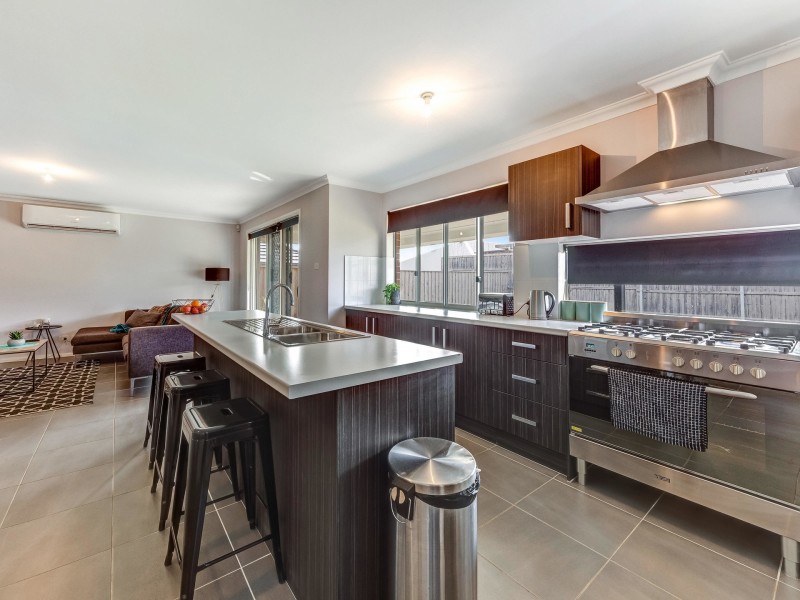 19 Threadtail Street, Chisholm NSW 2322