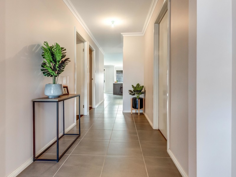 19 Threadtail Street, Chisholm NSW 2322