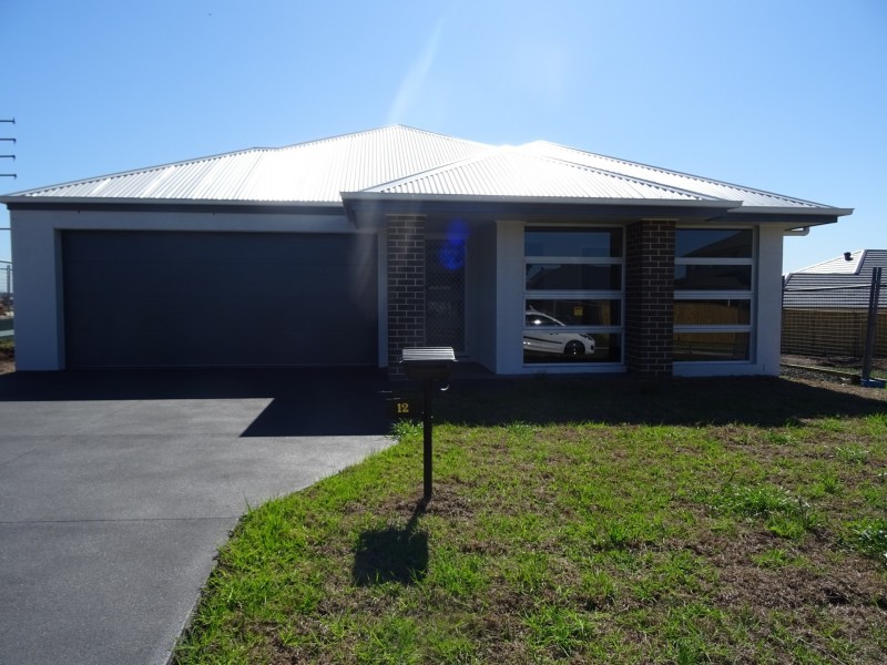 12 Damsel Street, Chisholm NSW 2322