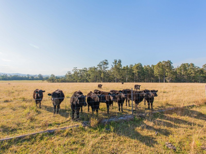 4055 Clarence Town Road, Dungog NSW 2420