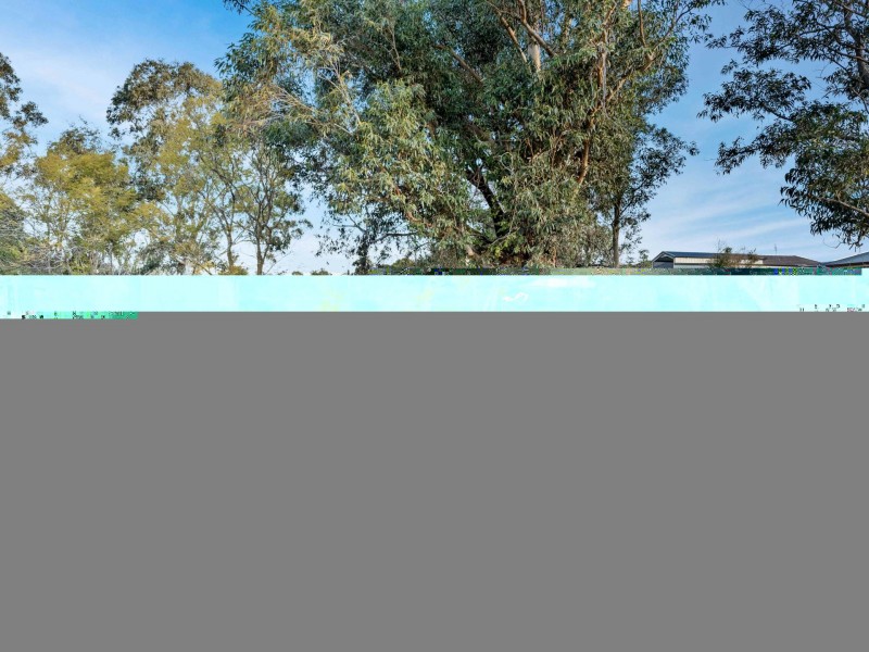 219 Morpeth Road, Raworth NSW 2321