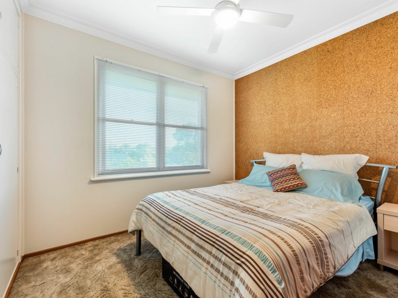 117 South Street, Rutherford NSW 2320