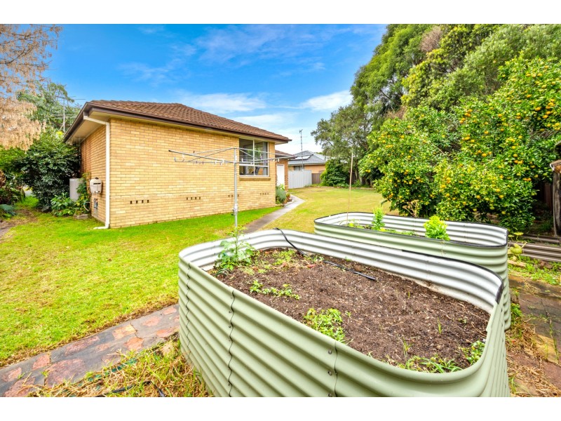 269 Paterson Road, Bolwarra Heights NSW 2320