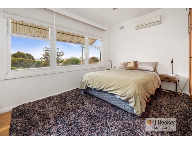 15 David Avenue, East Maitland NSW 2323