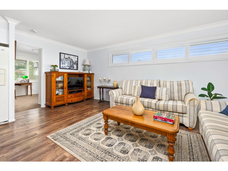 11 Pandanus Circuit, Bolwarra NSW 2320