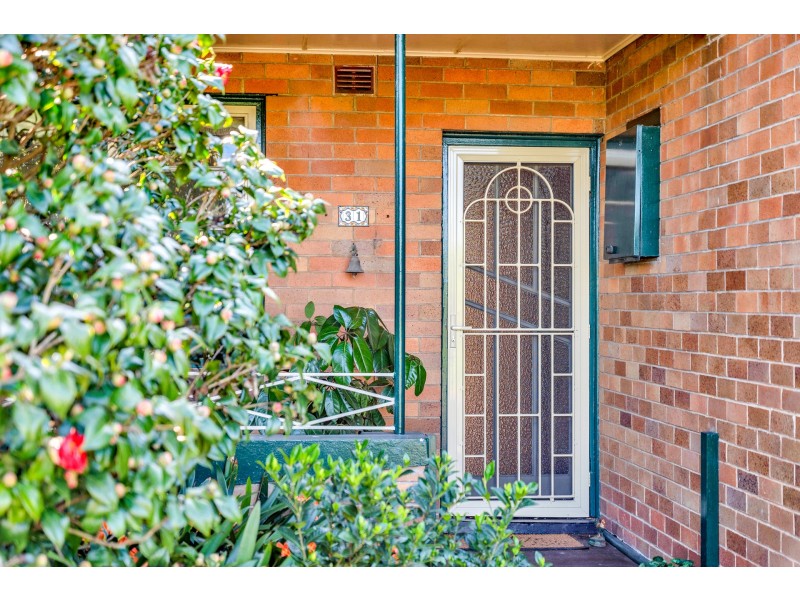 31 Lorn Street, Lorn NSW 2320