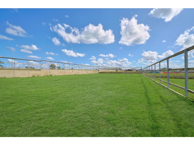 3 Steamcruiser Drive, Chisholm NSW 2322