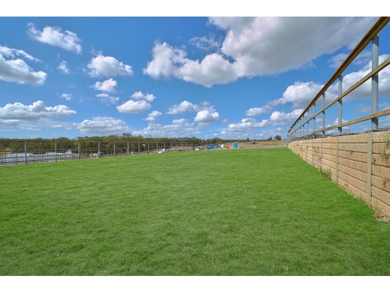 3 Steamcruiser Drive, Chisholm NSW 2322