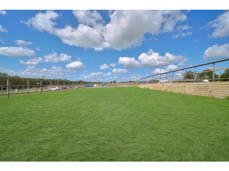 3 Steamcruiser Drive, Chisholm NSW 2322