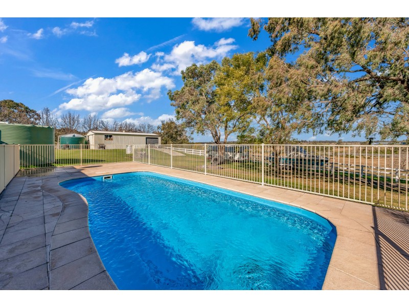 12 River Road, Windella NSW 2320