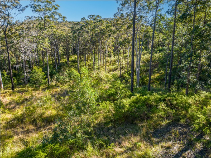 86 Conger Road, Girvan NSW 2425