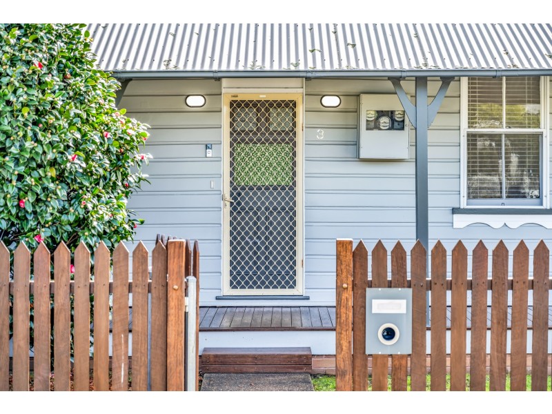 3 Ada Street, Telarah NSW 2320