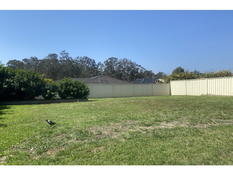 18 Springbok Crescent, East Maitland NSW 2323