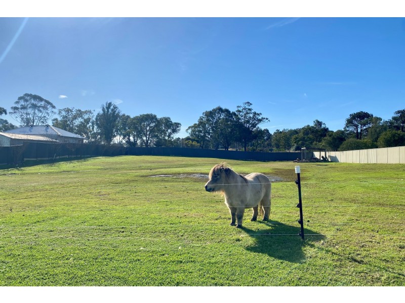 5 Anvil Street, Greta NSW 2334