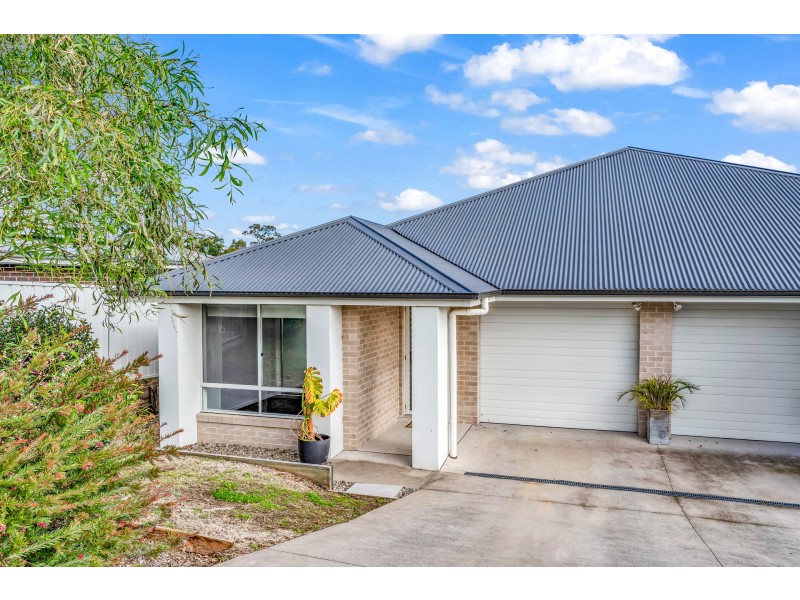 47 Stayard Drive, Bolwarra Heights NSW 2320