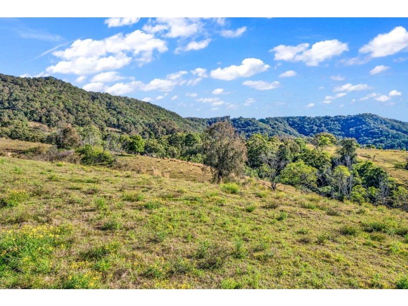 659A Lambs Valley Road, Lambs Valley NSW 2335