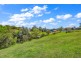 295 Aberglasslyn Road, Aberglasslyn NSW 2320