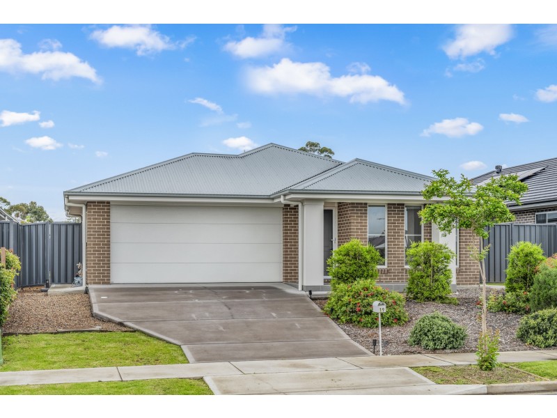 19 Springfield Drive, Lochinvar NSW 2321