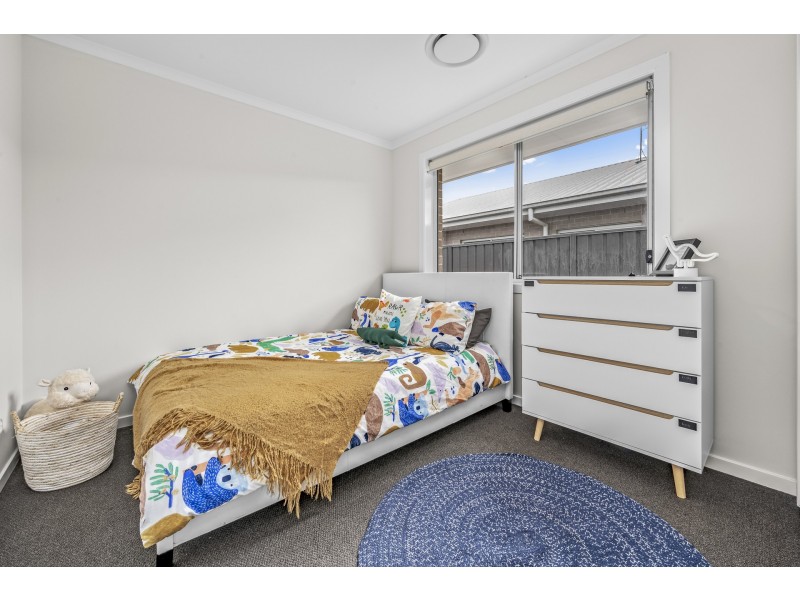 19 Springfield Drive, Lochinvar NSW 2321