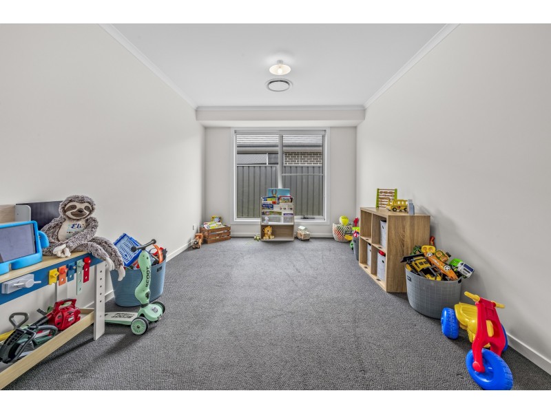 19 Springfield Drive, Lochinvar NSW 2321