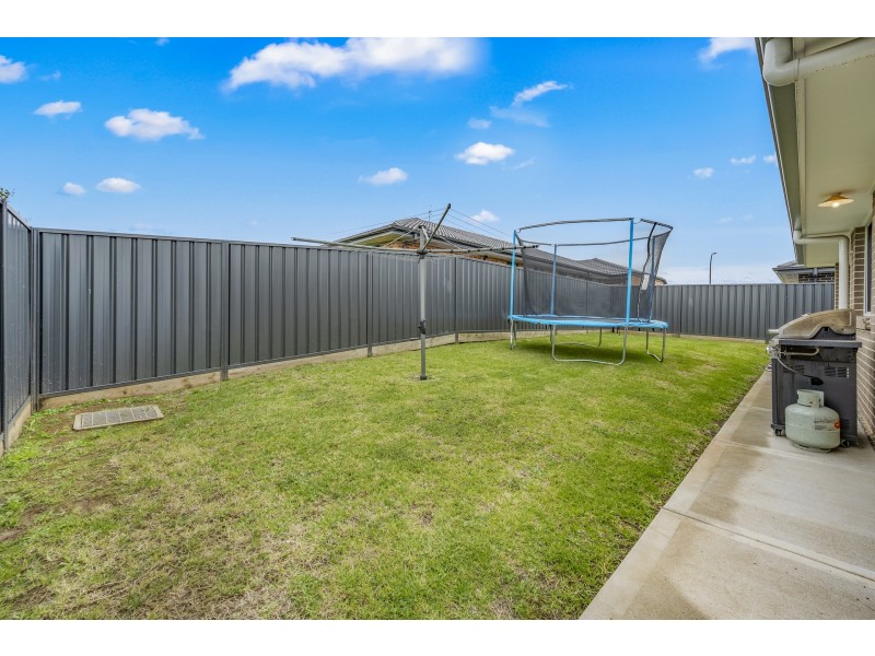 19 Springfield Drive, Lochinvar NSW 2321