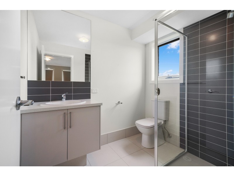19 Springfield Drive, Lochinvar NSW 2321