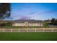11 Lomandra Place, Windella NSW 2320