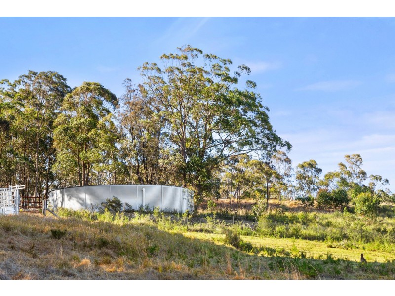 376 High Country Rise, Lambs Valley NSW 2335
