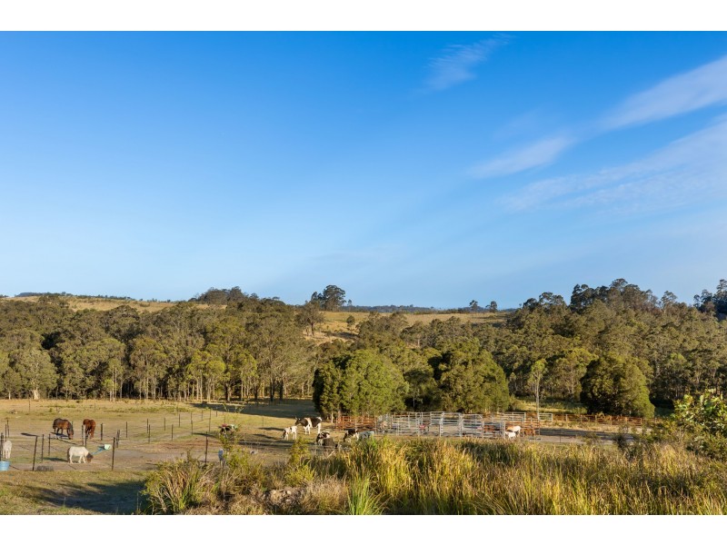 376 High Country Rise, Lambs Valley NSW 2335