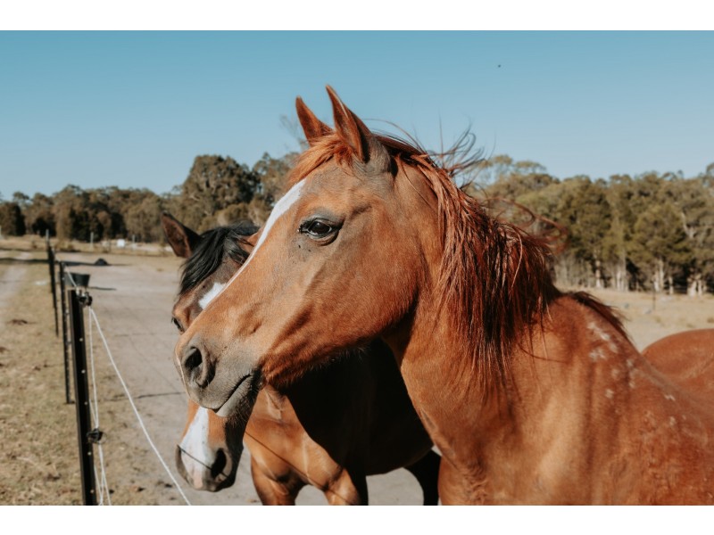376 High Country Rise, Lambs Valley NSW 2335