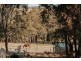 376 High Country Rise, Lambs Valley NSW 2335