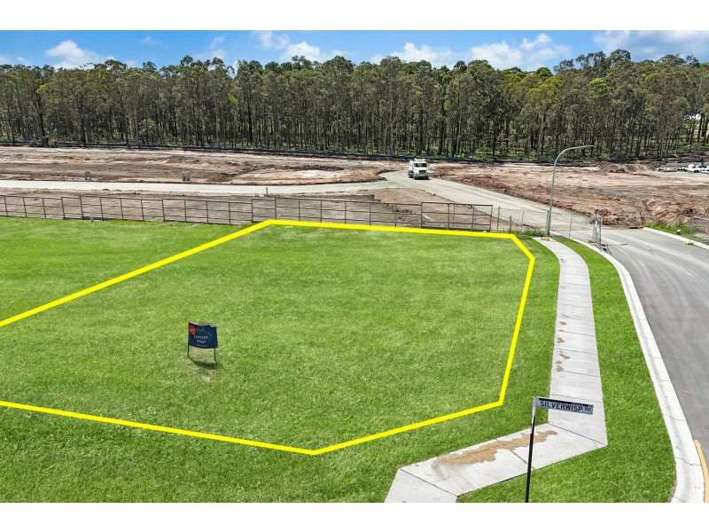 2 Silverwisp Road, Chisholm NSW 2322