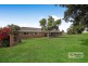 213 Station Lane, Lochinvar NSW 2321