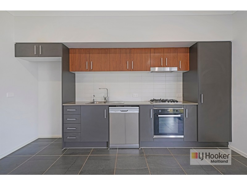 20A Tourmaline Drive, Rutherford NSW 2320