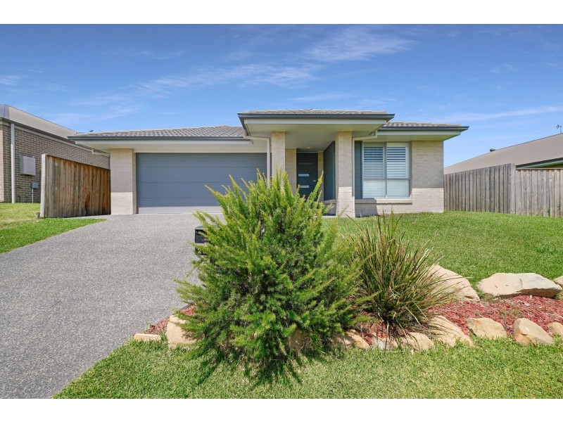 29 Golden Whistler Avenue, Aberglasslyn NSW 2320