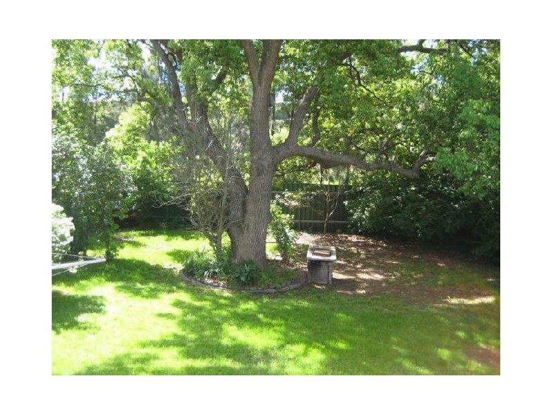 East Maitland NSW 2323