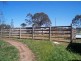 256 John Renshaw Drive, Buchanan NSW 2323