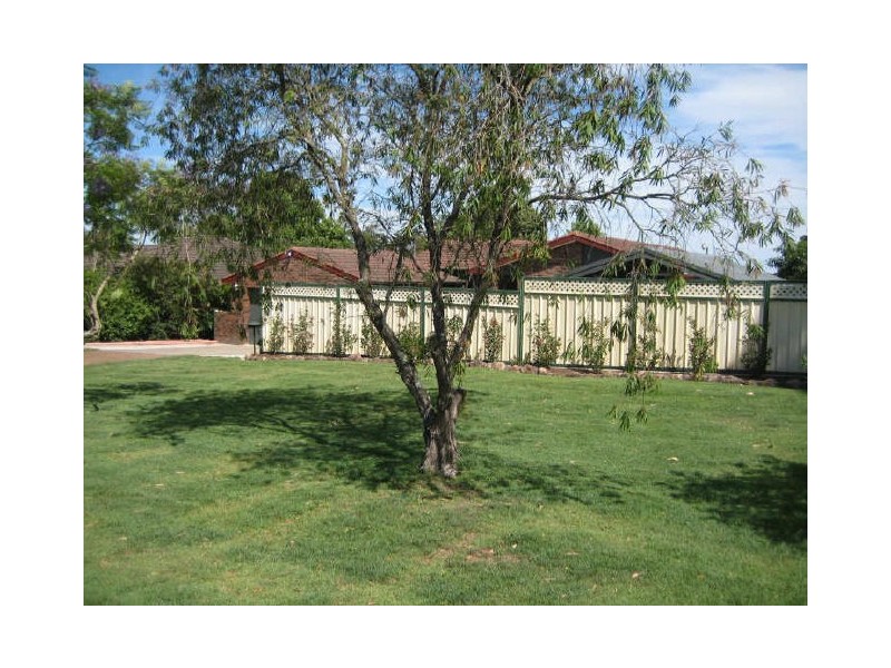 247 Paterson Road, Bolwarra Heights NSW 2320