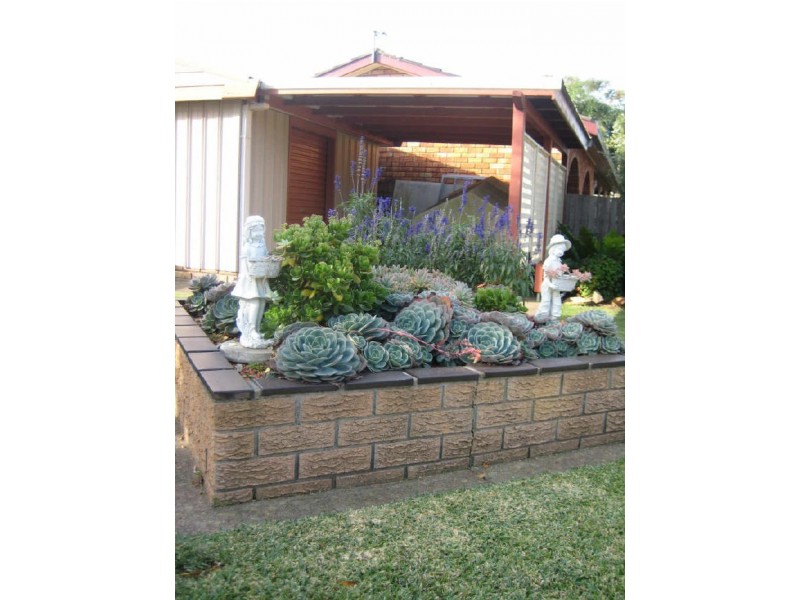 20 Broughton Street, Rutherford NSW 2320