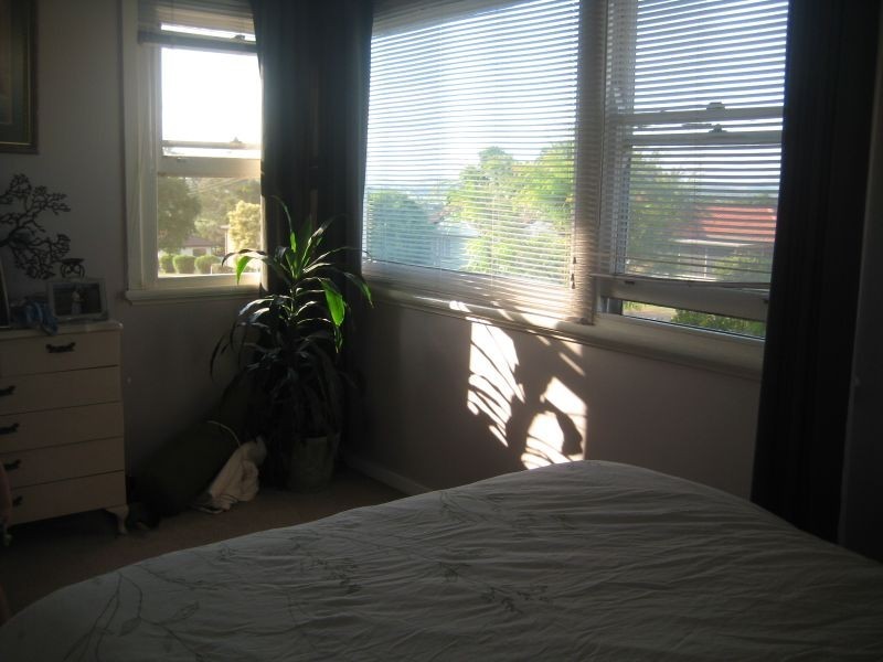 57 Thompson St, East Maitland NSW 2323