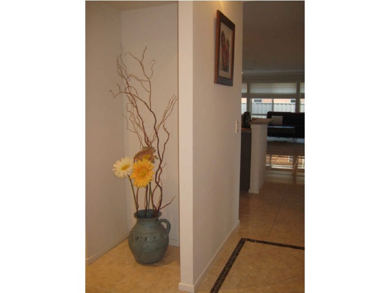 9 Stanley Close, Bolwarra Heights NSW 2320